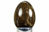 Colorful Polished Petrified Wood Egg - California #309024-1